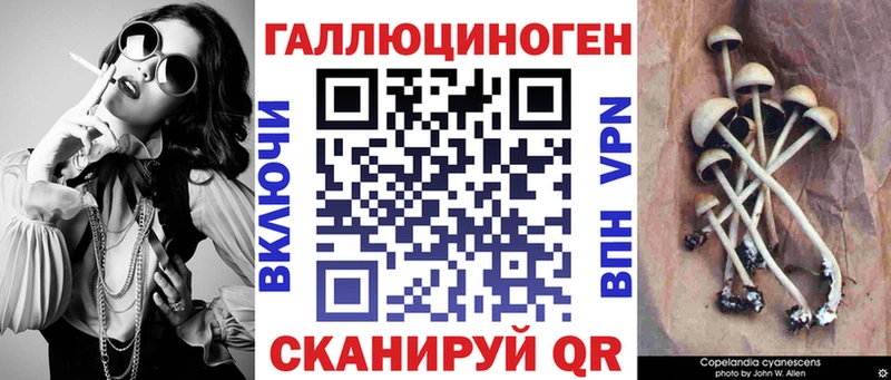 Псилоцибиновые грибы Cubensis  ОМГ ОМГ как войти  Апатиты  купить закладку 