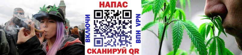 Марихуана тримм  купить наркотики сайты  Апатиты 